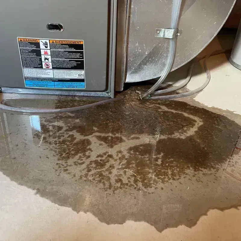 Appliance Leak Cleanup in Englewood, IL